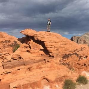 Meet your Posher, Tony